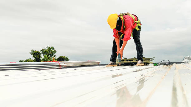 Best Skylight Installation and Repair  in Mcgovern, PA